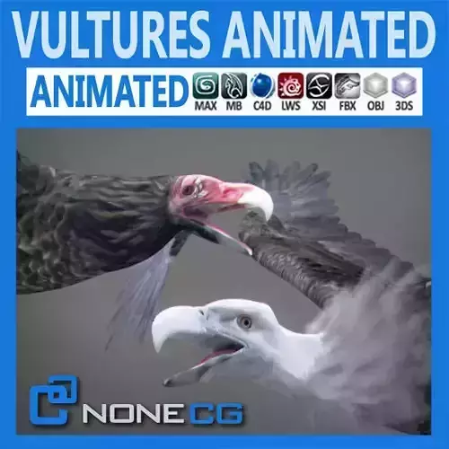 Animated Vultures 3D model