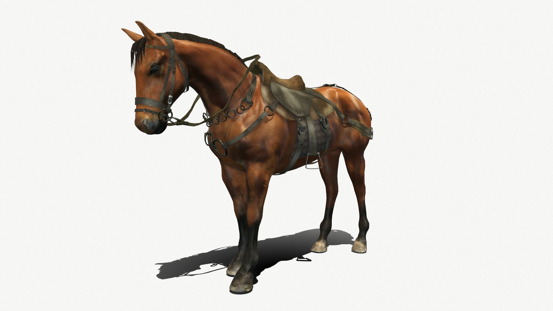 Medieval Horse Low-poly 3D model_6