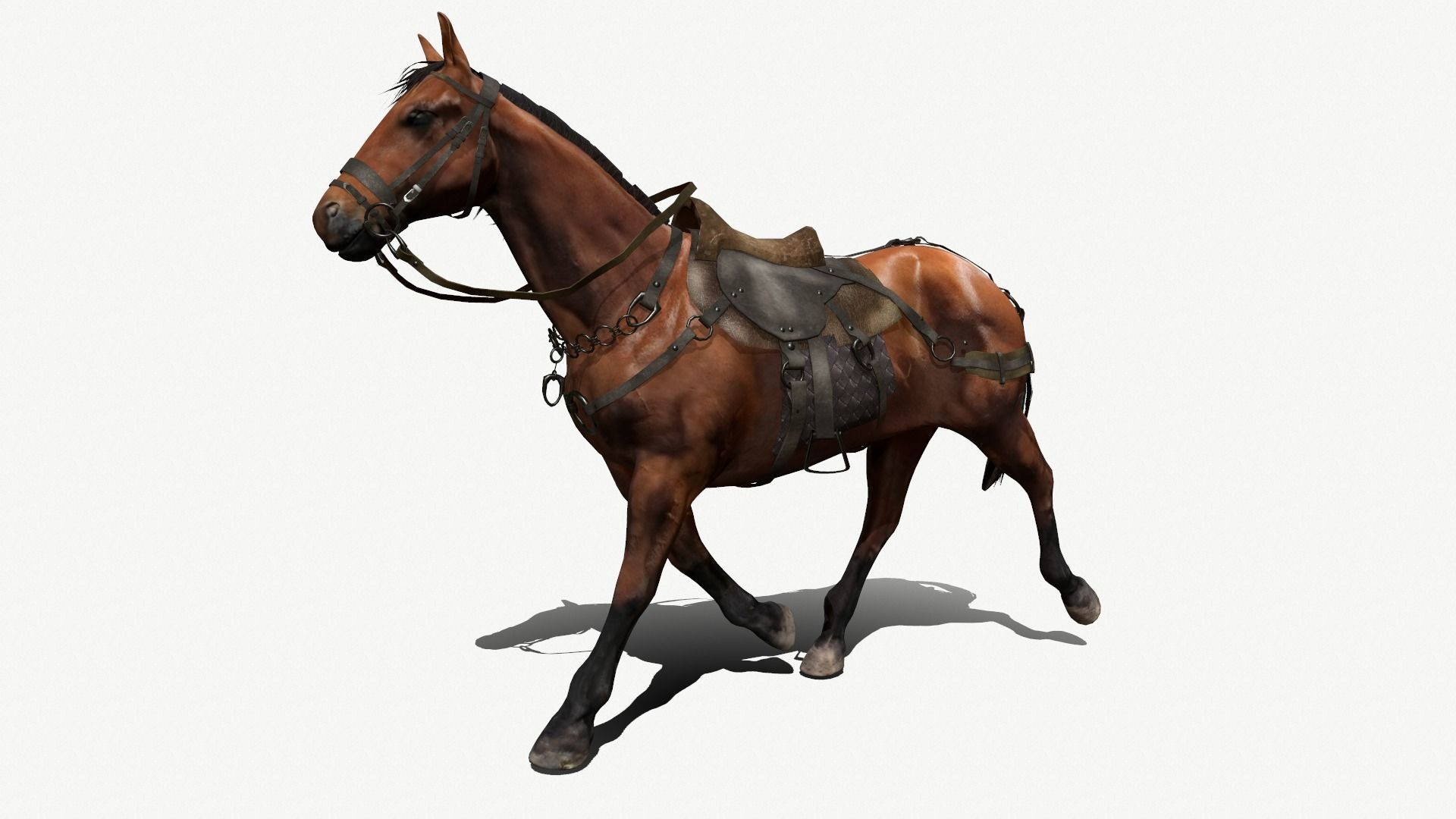 Medieval Horse Low-poly 3D model_9