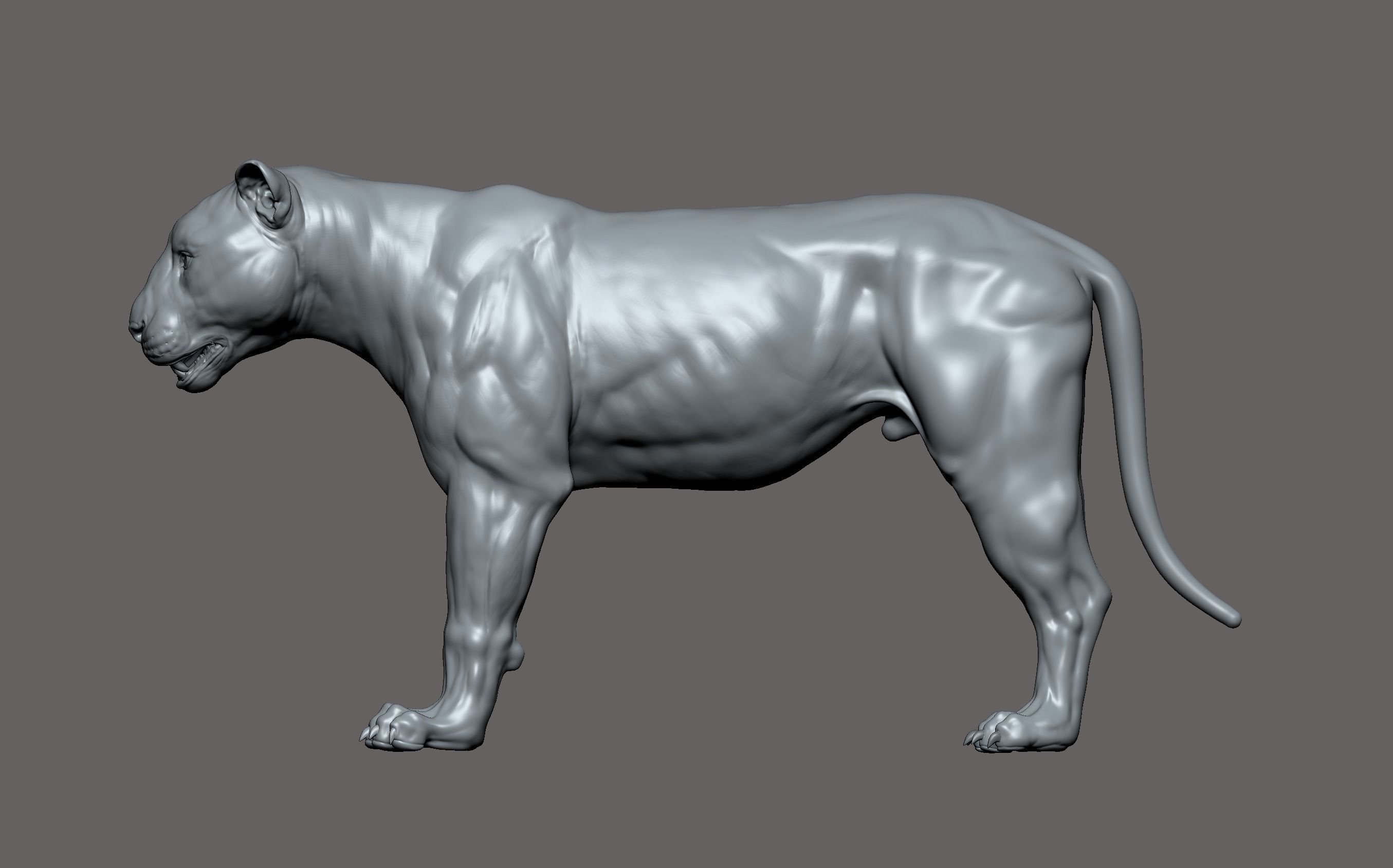 Tiger realistic 3D model 3D print model_4