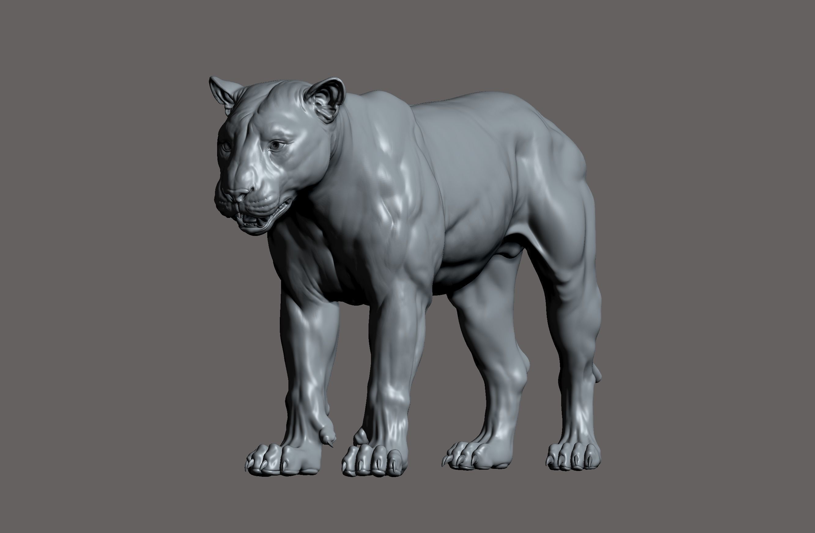 Tiger realistic 3D model 3D print model_12