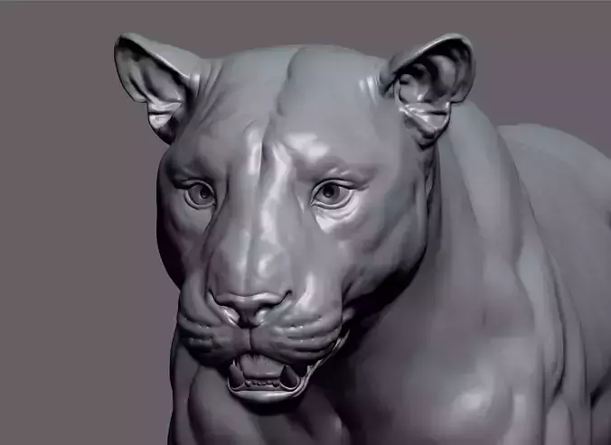 Tiger realistic 3D model