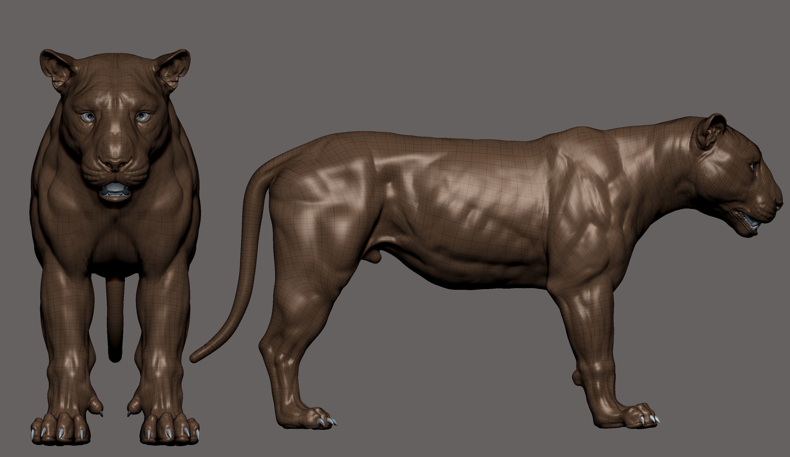 Tiger realistic 3D model 3D print model_11