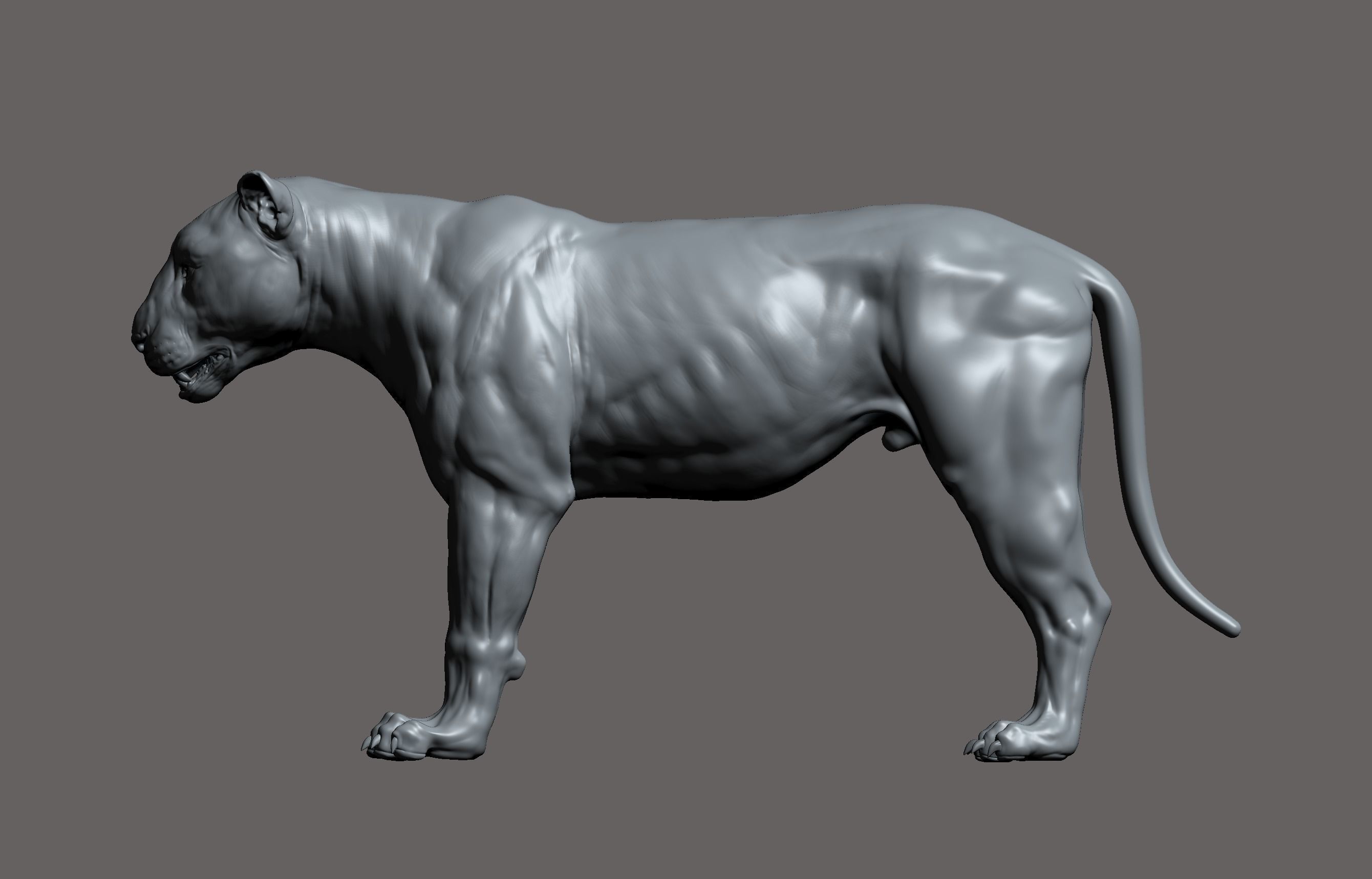 Tiger realistic 3D model 3D print model_14