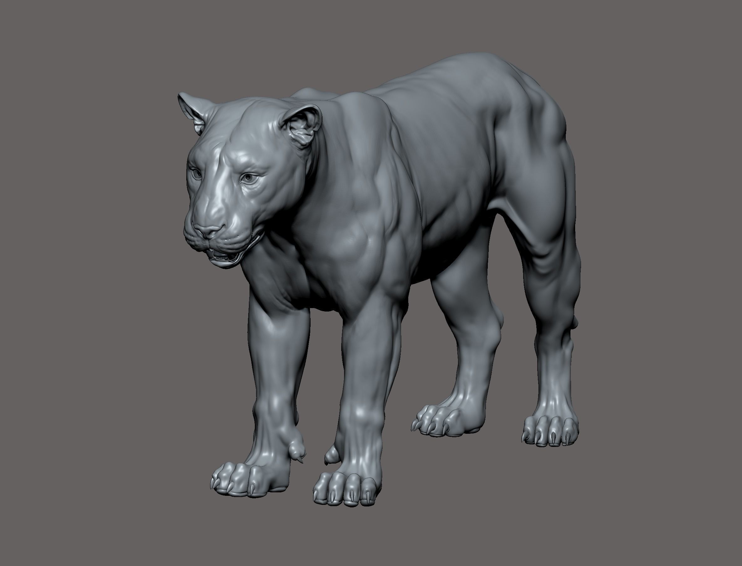 Tiger realistic 3D model 3D print model_3