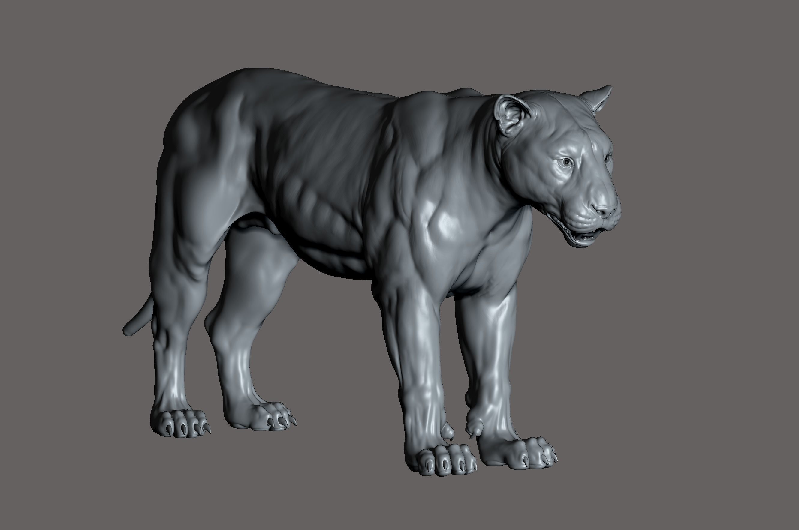 Tiger realistic 3D model 3D print model_13
