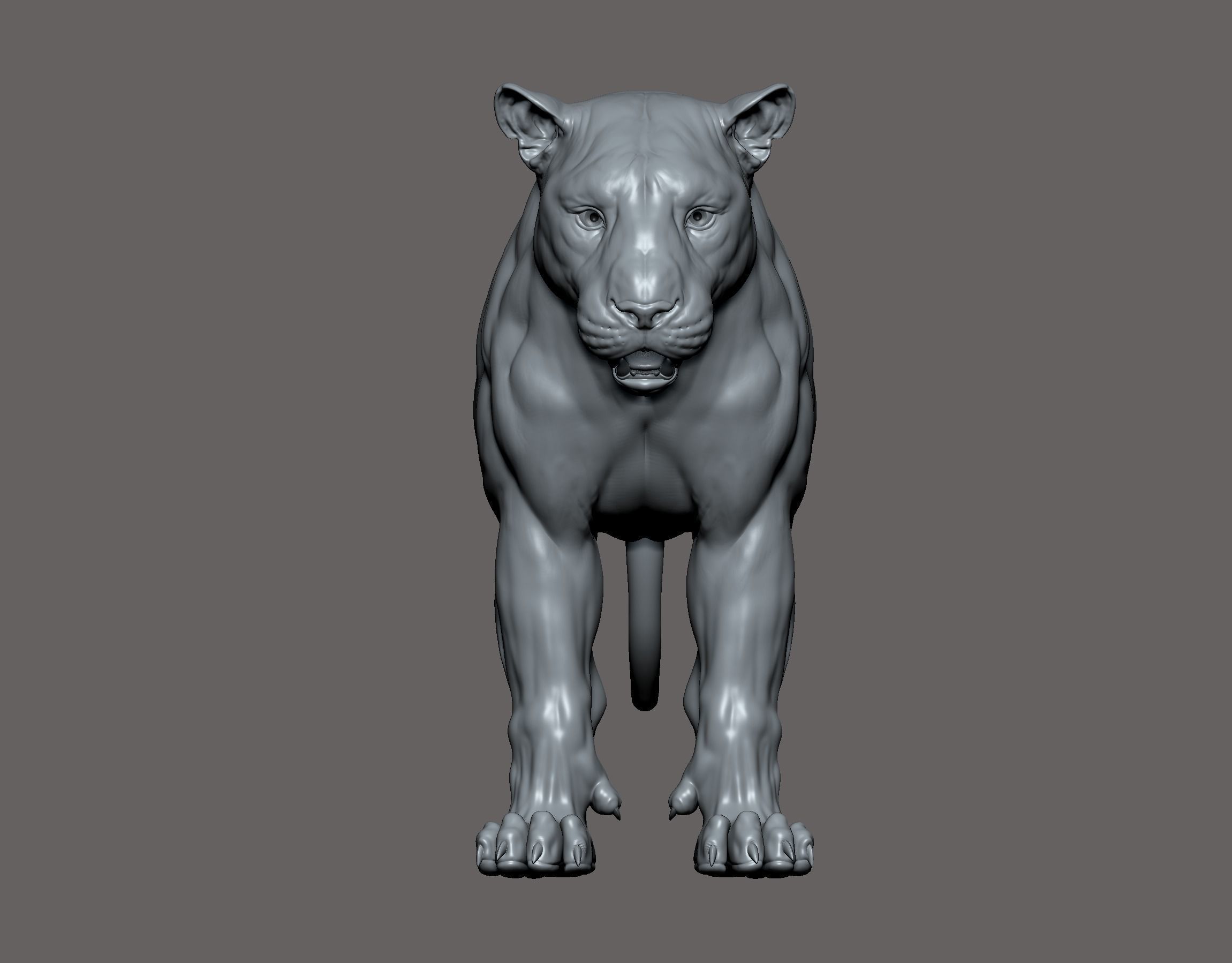 Tiger realistic 3D model 3D print model_9
