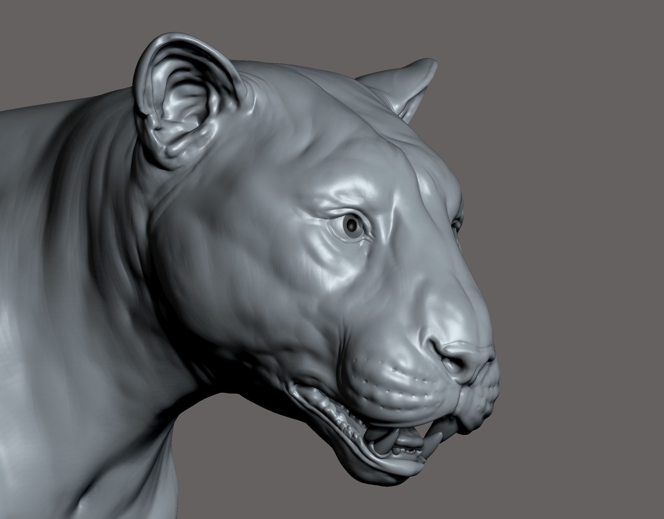 Tiger realistic 3D model 3D print model_2
