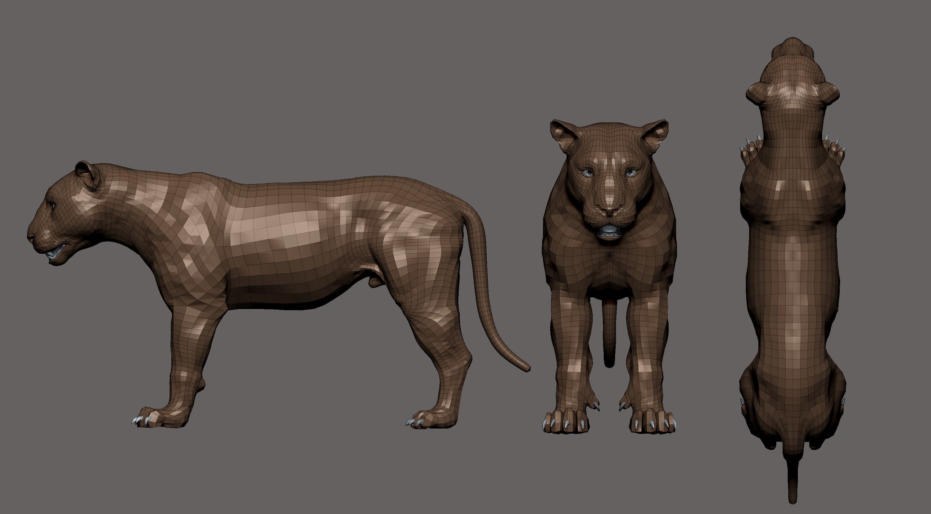 Tiger realistic 3D model 3D print model_10