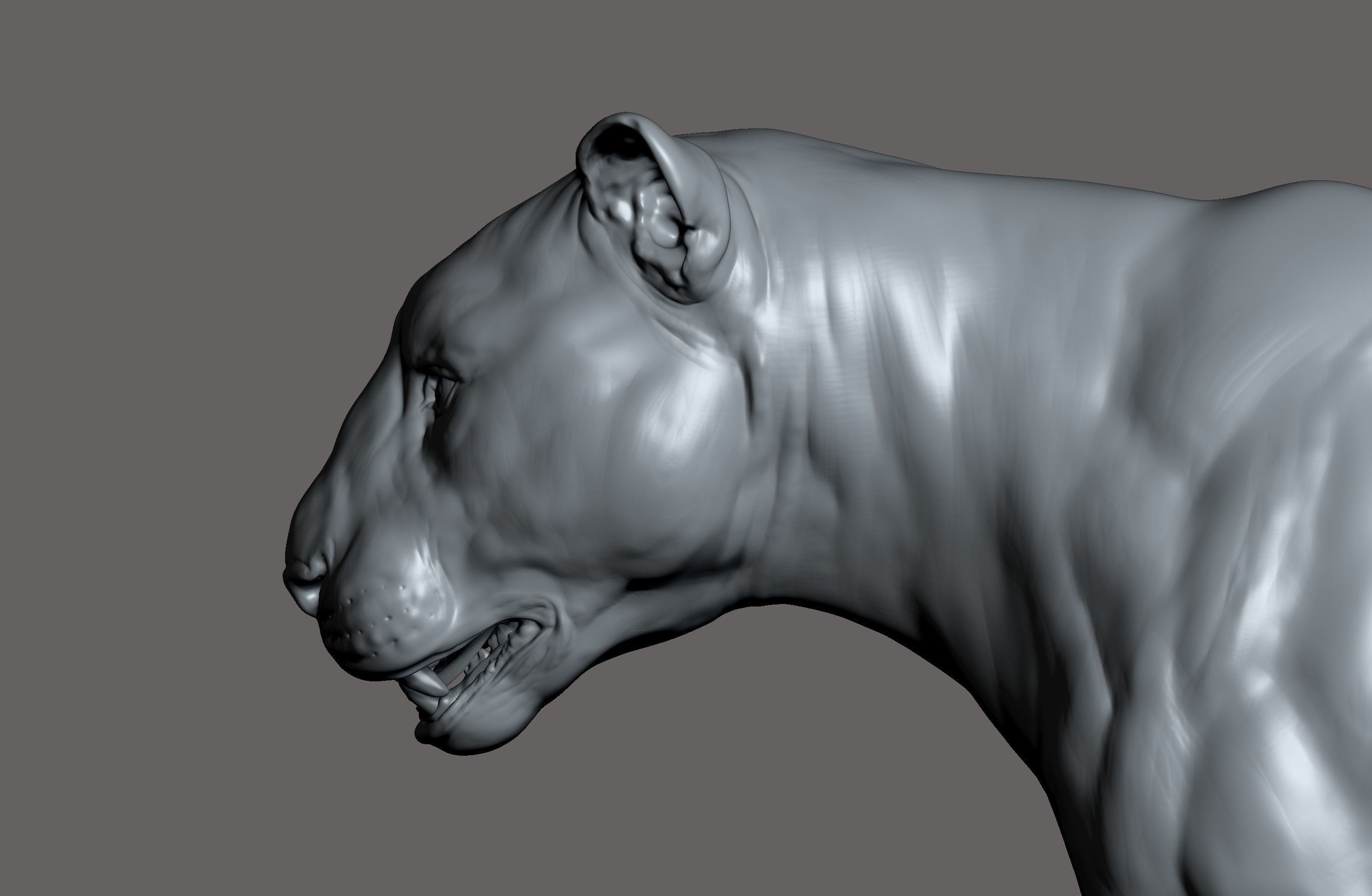 Tiger realistic 3D model 3D print model_1