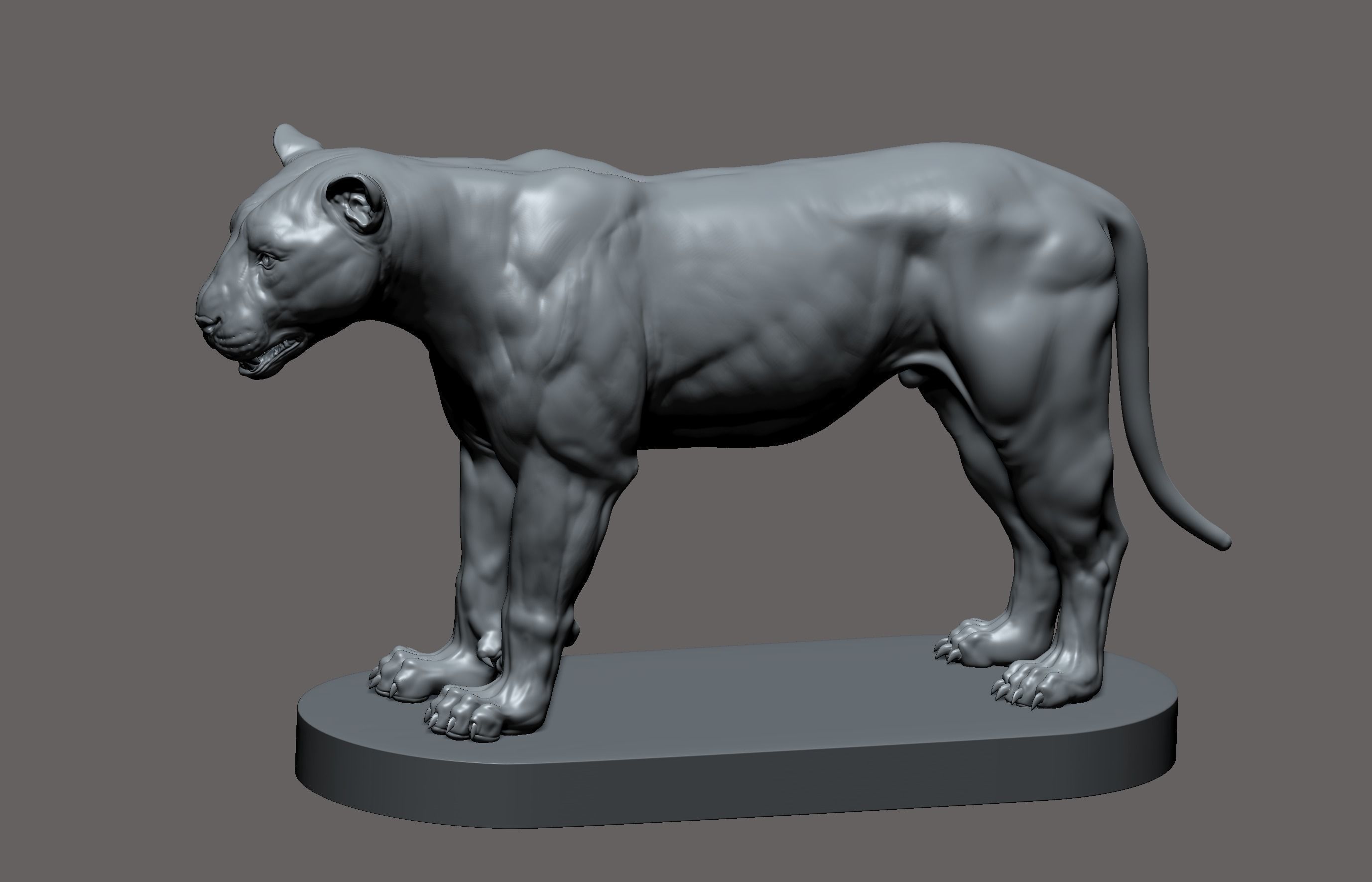Tiger realistic 3D model 3D print model_15