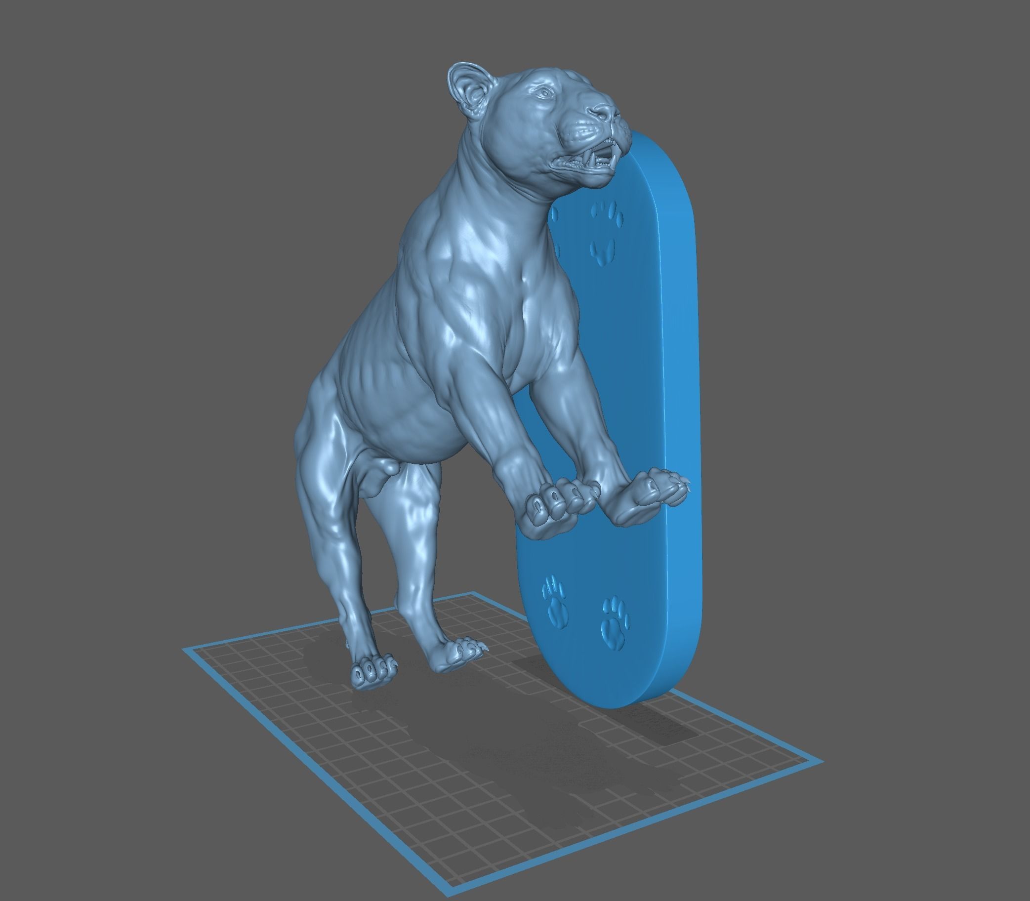 Tiger realistic 3D model 3D print model_17