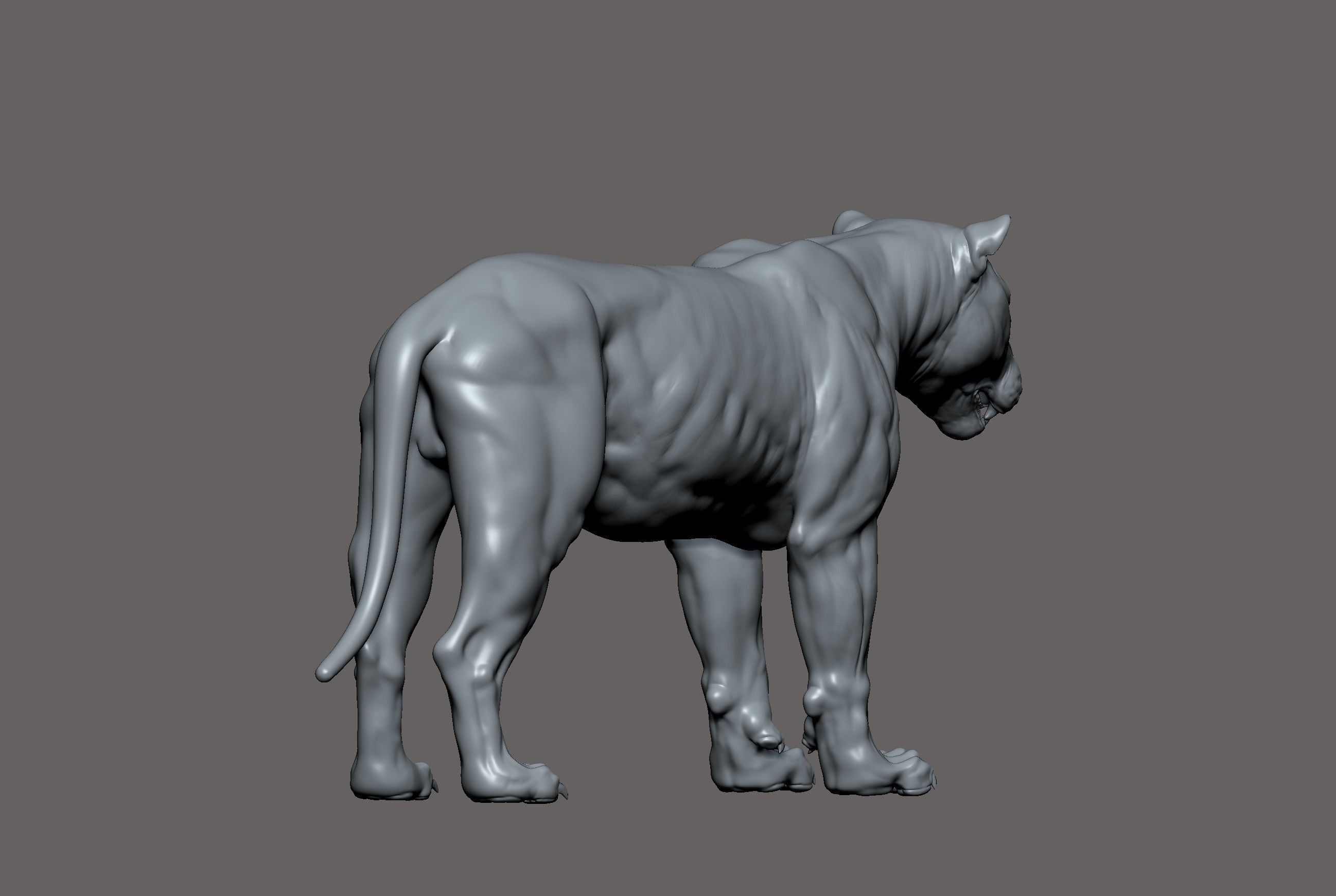 Tiger realistic 3D model 3D print model_7