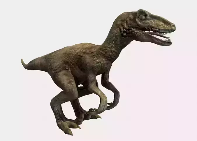 Velociraptor t - rex dinosaur Low-poly 3D model