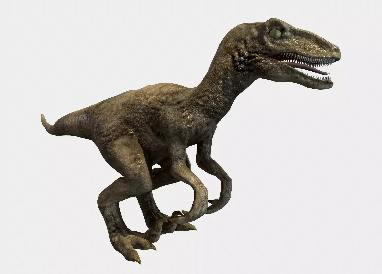 Velociraptor t - rex dinosaur Low-poly 3D model_0