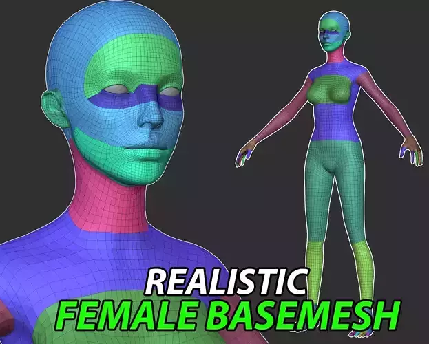 Realistic Female Base Mesh 