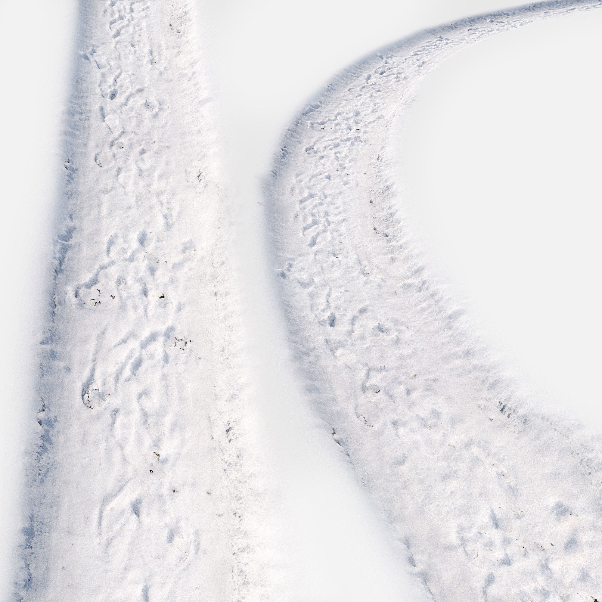 Ultra realistic Snow trail 3D model_1