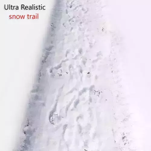 Ultra realistic Snow trail 3D model