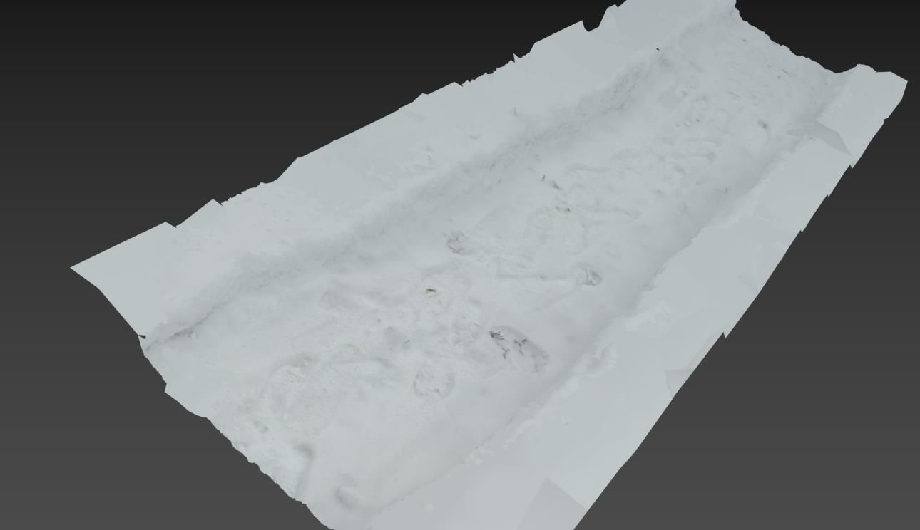 Ultra realistic Snow trail 3D model_5