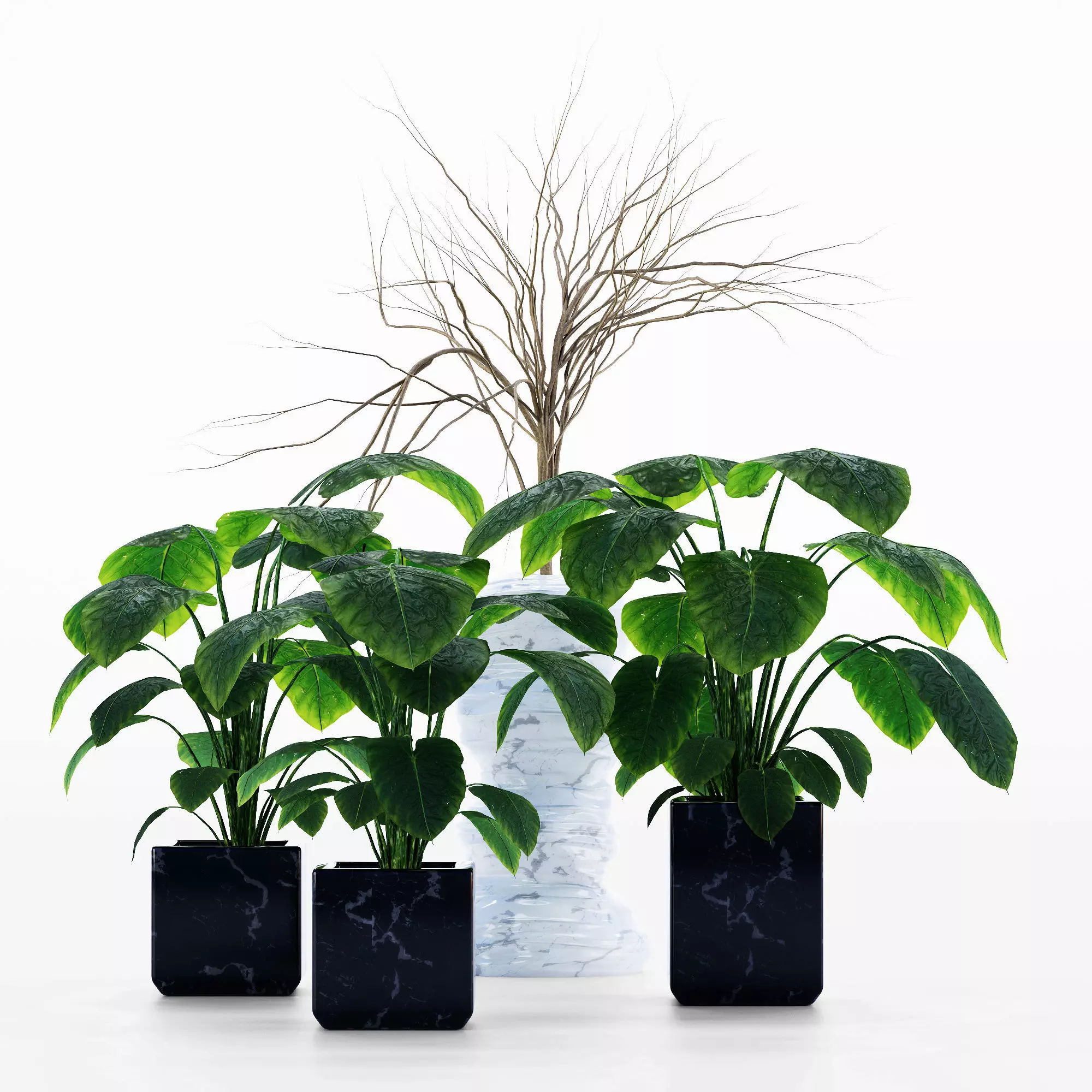 plant annuals Flower collection 4 Flowers in the scene Free 3D model
