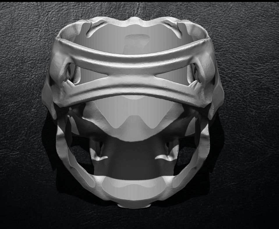 Hammered Skull Ring 3D print model_3