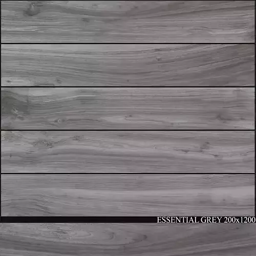 Ariana Ceramica Essential Grey 200x1200