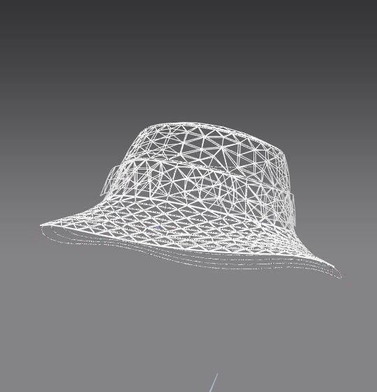 Bucket Hat 3D model_1