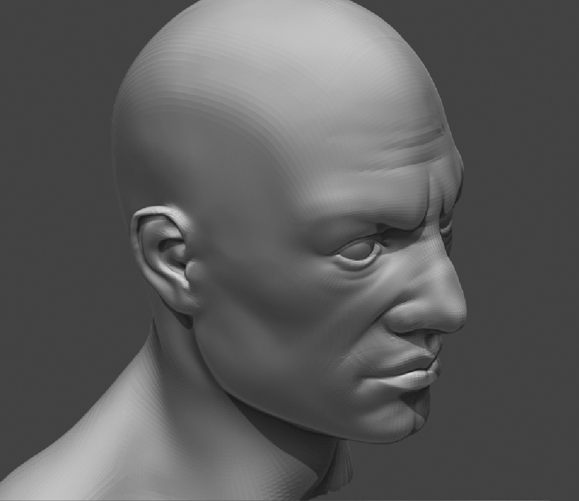 Male Head Realistic Base Mesh 2 3D Model 3D model_5
