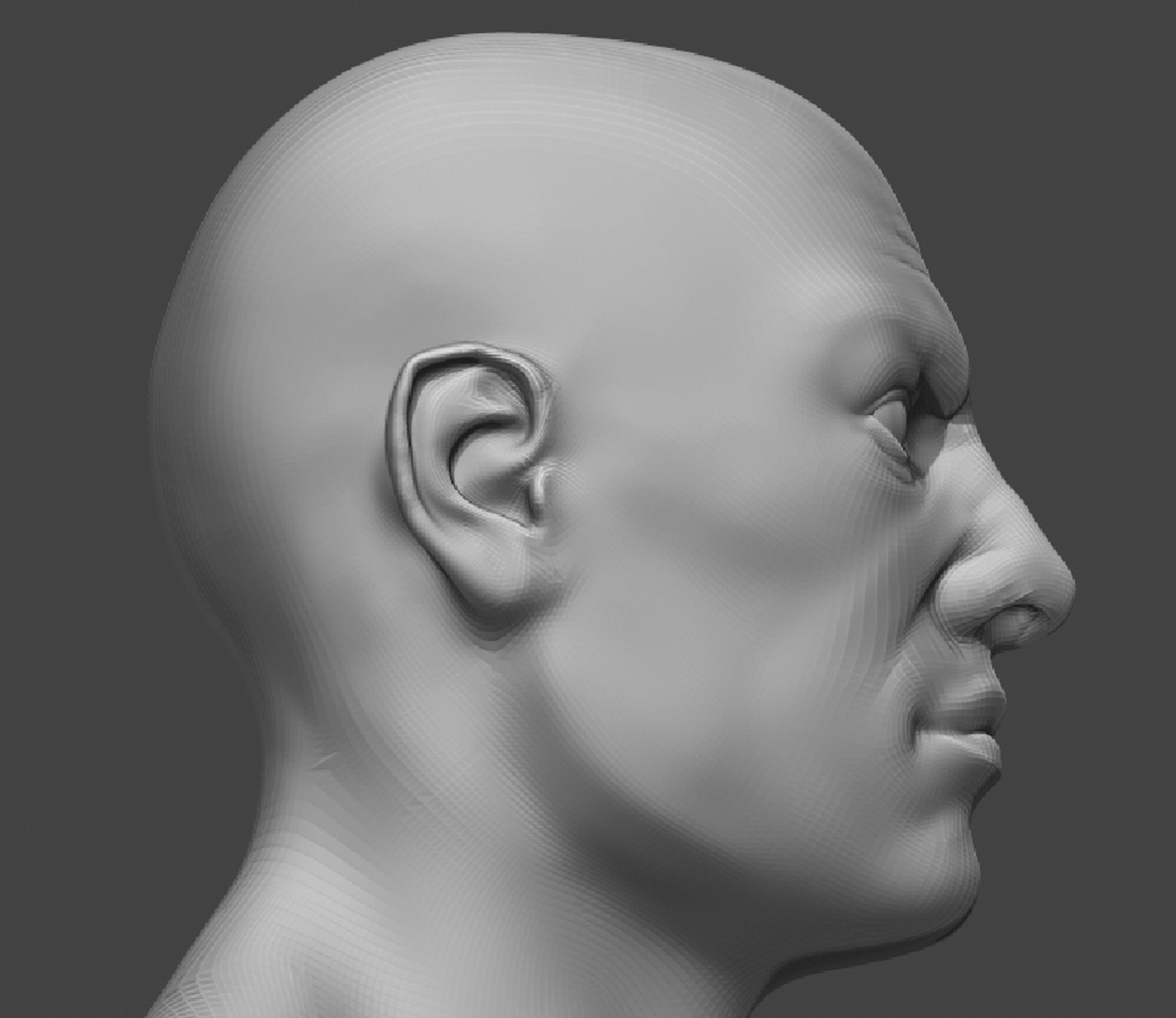 Male Head Realistic Base Mesh 2 3D Model 3D model_8