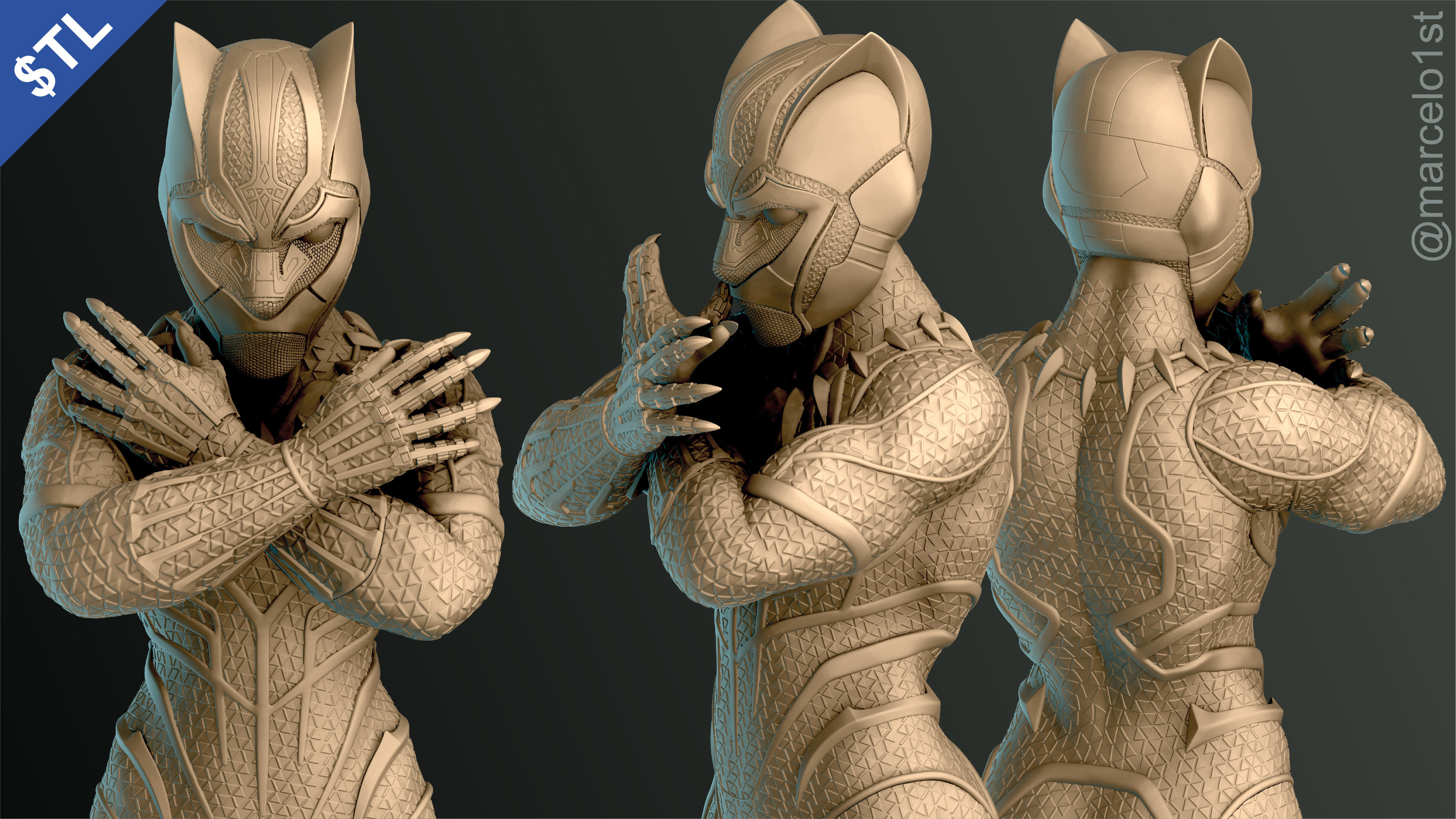 Black Panther - Tribute to T challa 3D print model_1