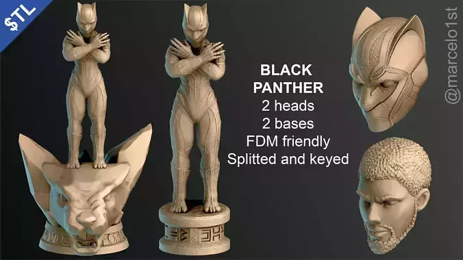 Black Panther - Tribute to T challa