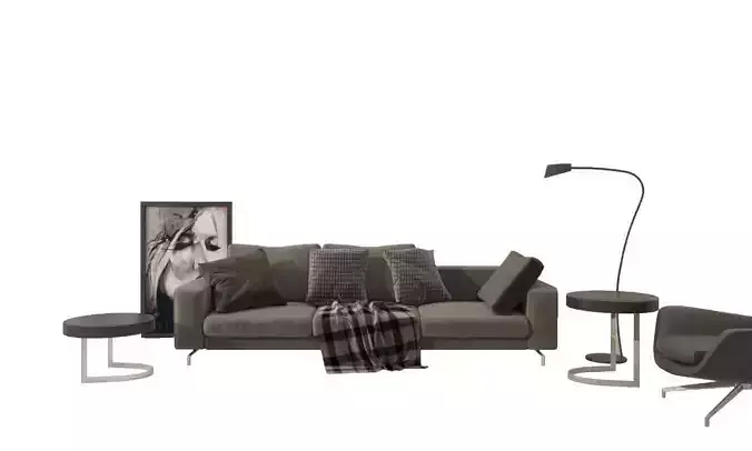 Minotti Sofa Set