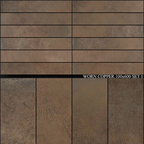 Ariana Ceramica Worn Copper 100x600 Set 1 3D model