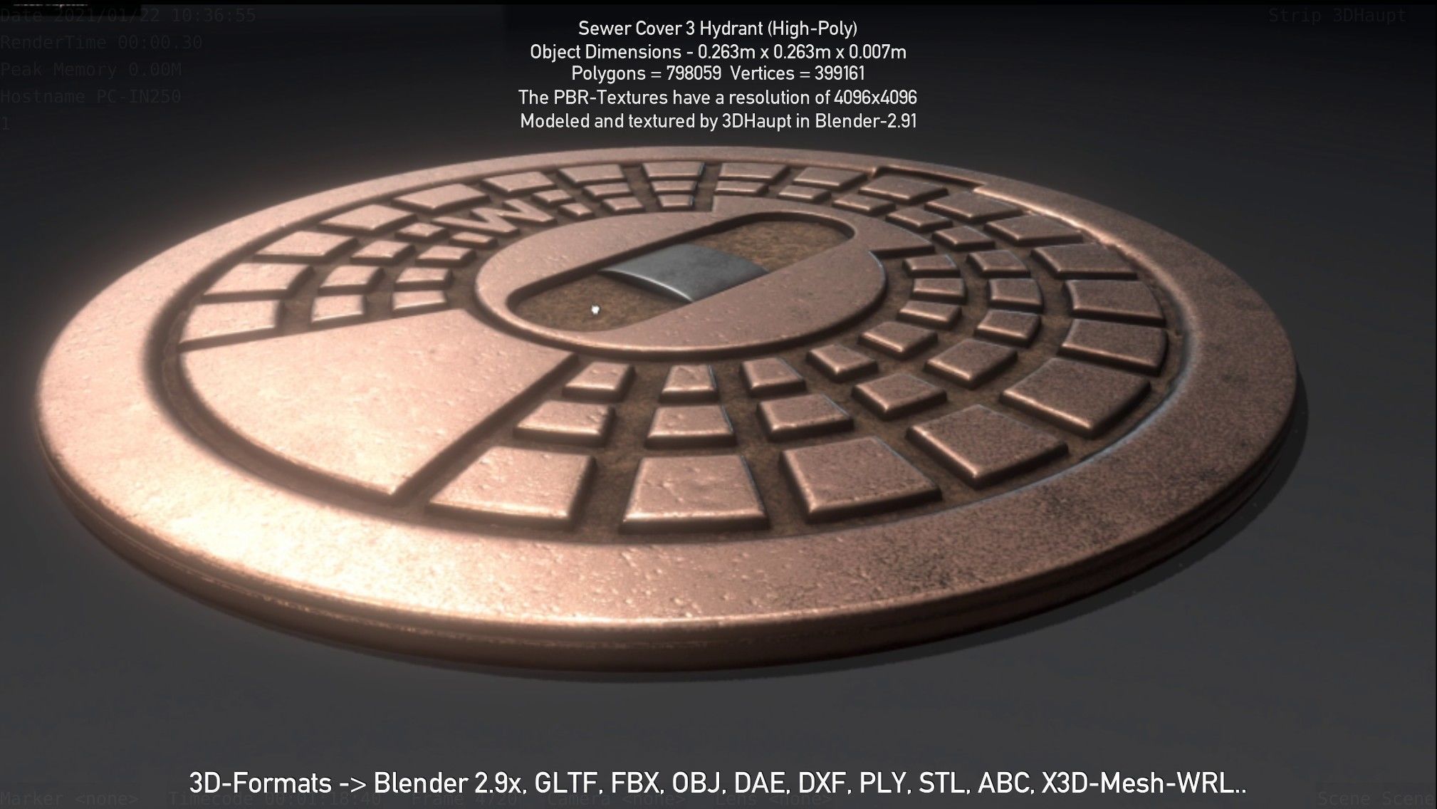 Sewer Cover 3 Hydrant High-Poly 3D model_48