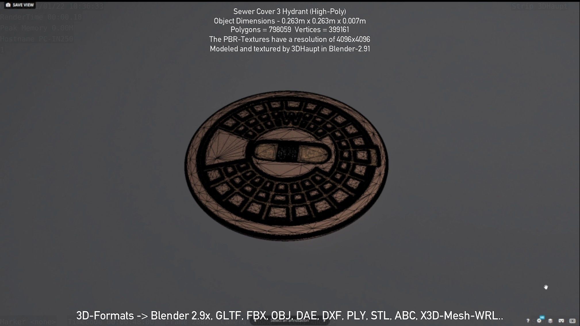 Sewer Cover 3 Hydrant High-Poly 3D model_33