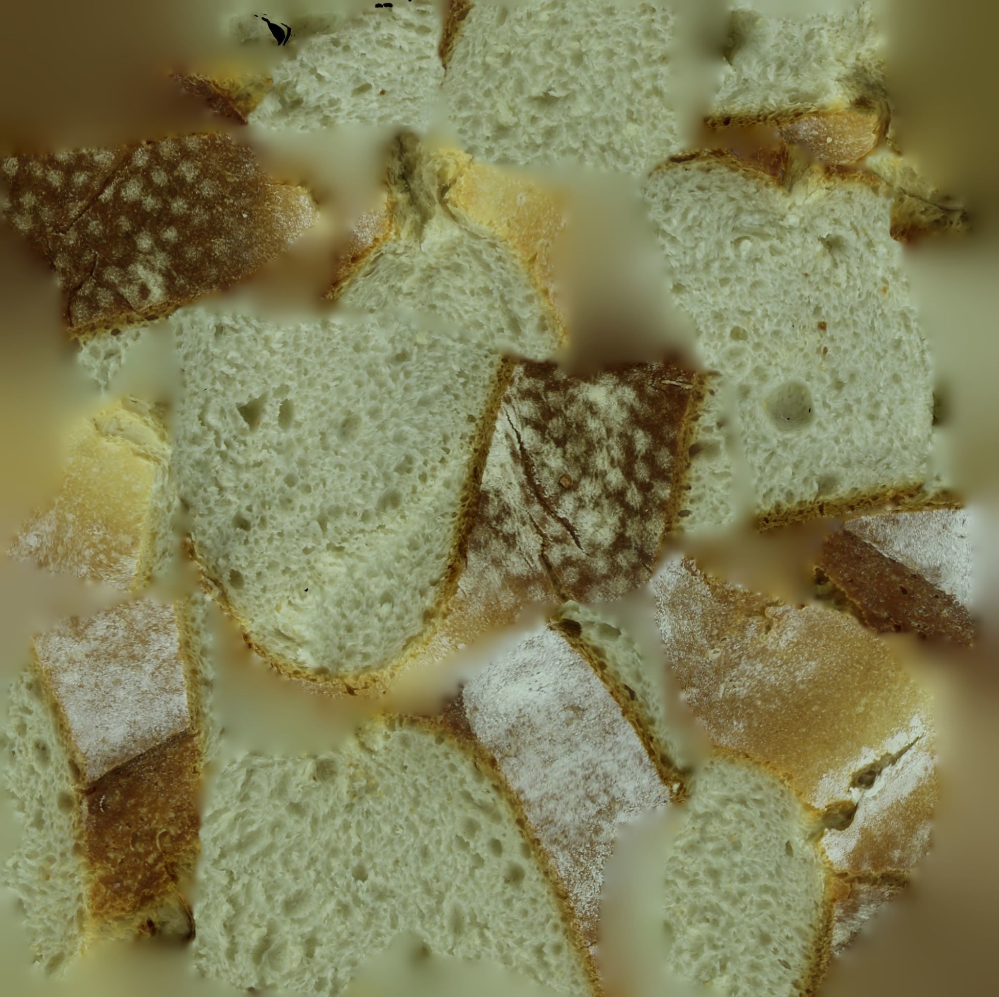 Ultra realistic Bread scan 8k Low-Poly 3D model Low-poly 3D model_25