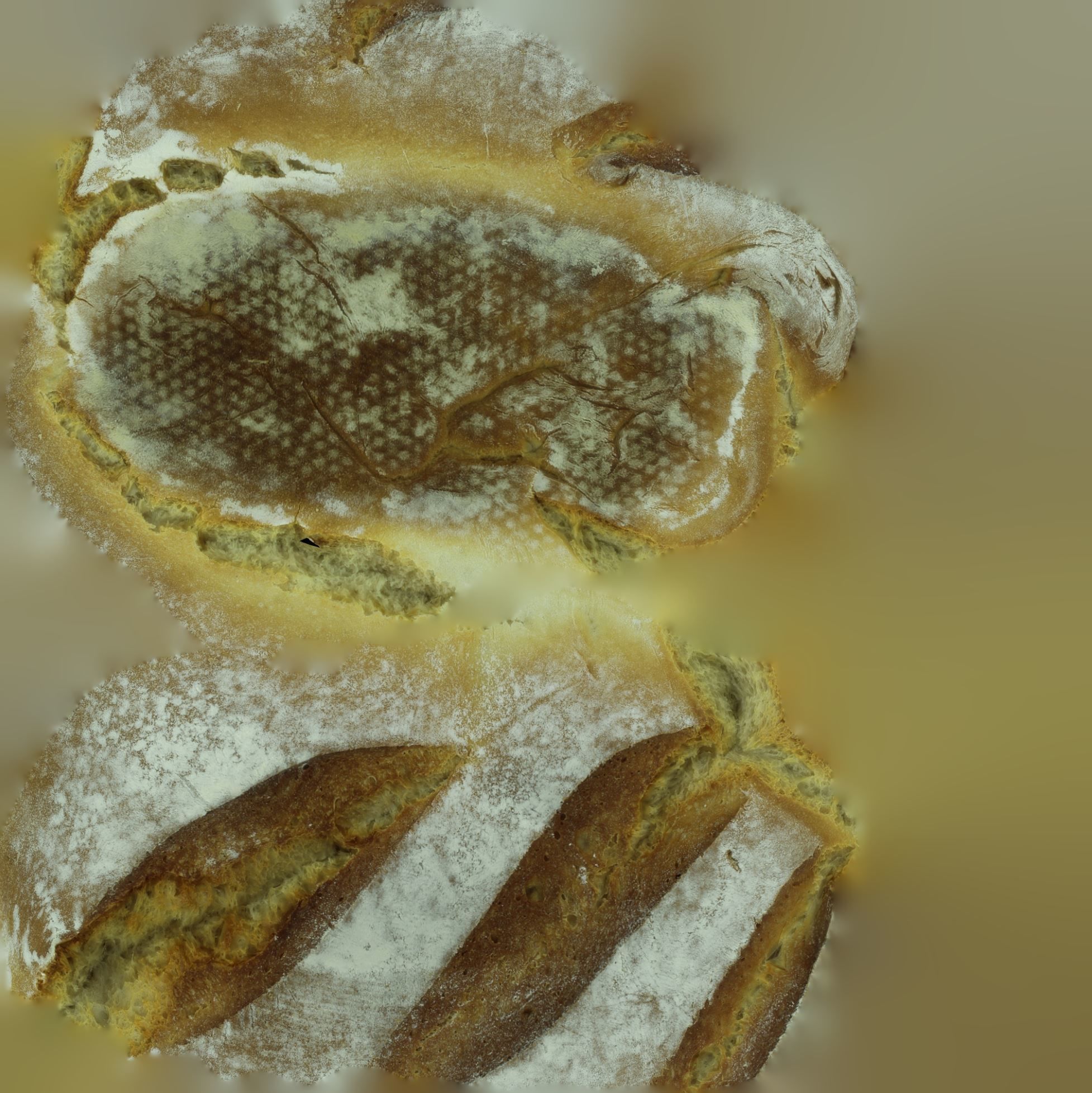 Ultra realistic Bread scan 8k Low-Poly 3D model Low-poly 3D model_30