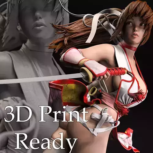 Kasumi Fan Art 3D Print 3D print model