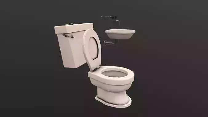 Old Toilet and Washbasin