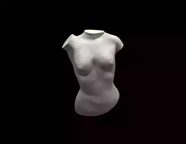 The Female Torso