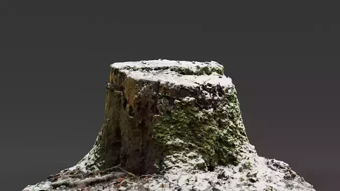 Snow covered mossy Tree Stump