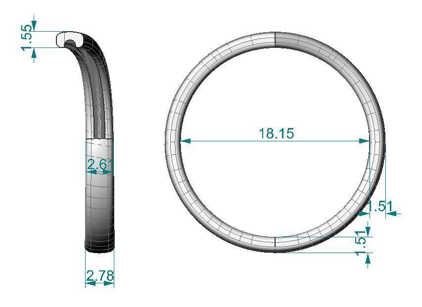 Ring big check mark 3D print model_9