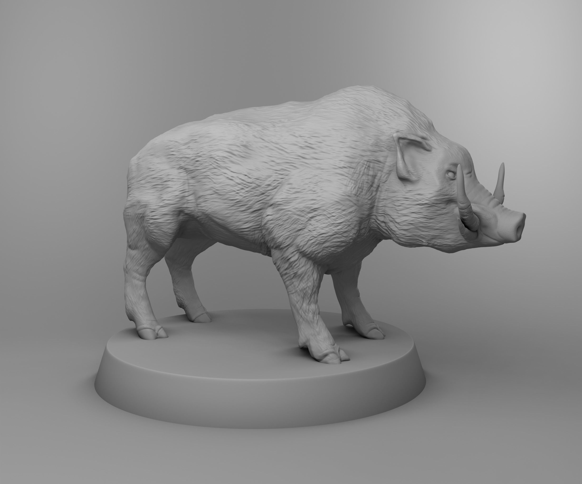 Wild boar 3D print model_1
