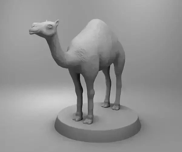 African camel 3D print model