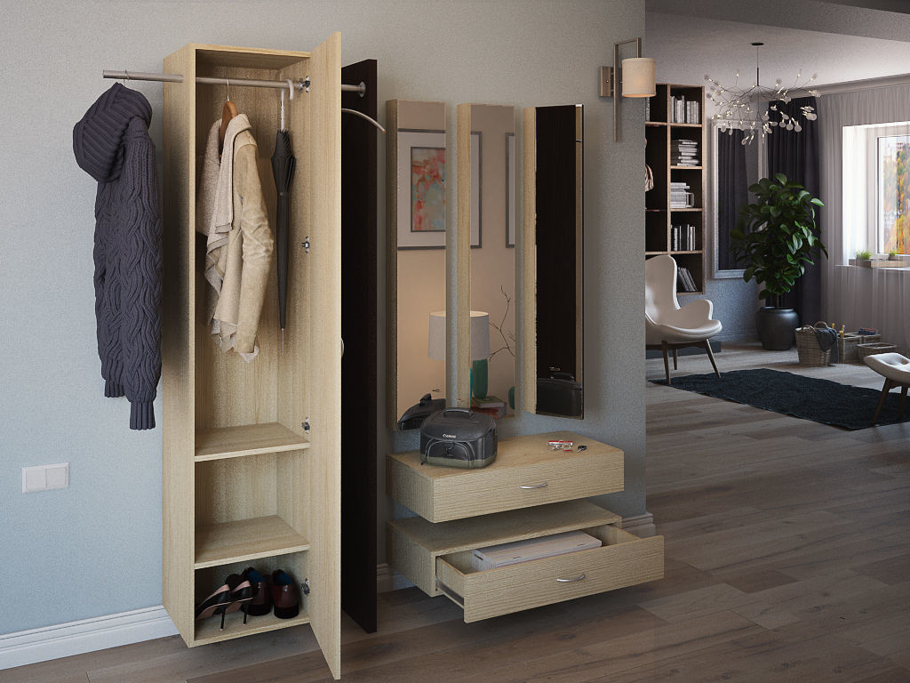 model hallway modern living room with wardrobe and coat rack 3D model_1