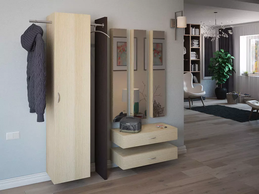 model hallway modern living room with wardrobe and coat rack 3D model_0