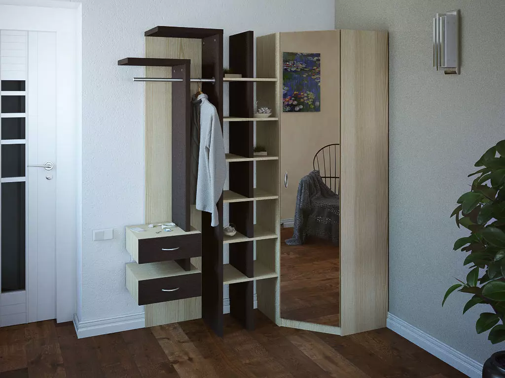 corner wardrobe with mirror and hangers 3D model_0