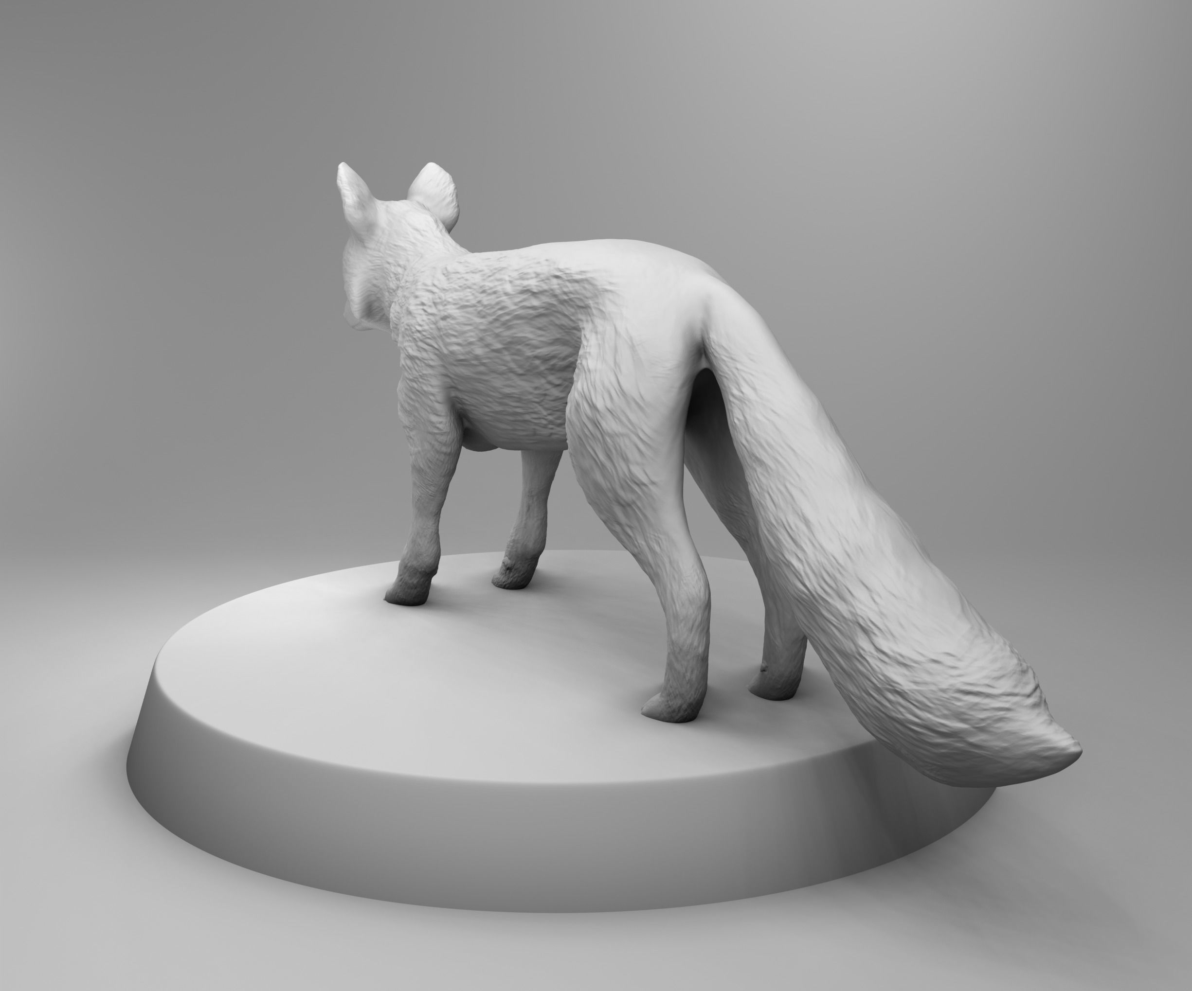 Wild fox 3D print model_1