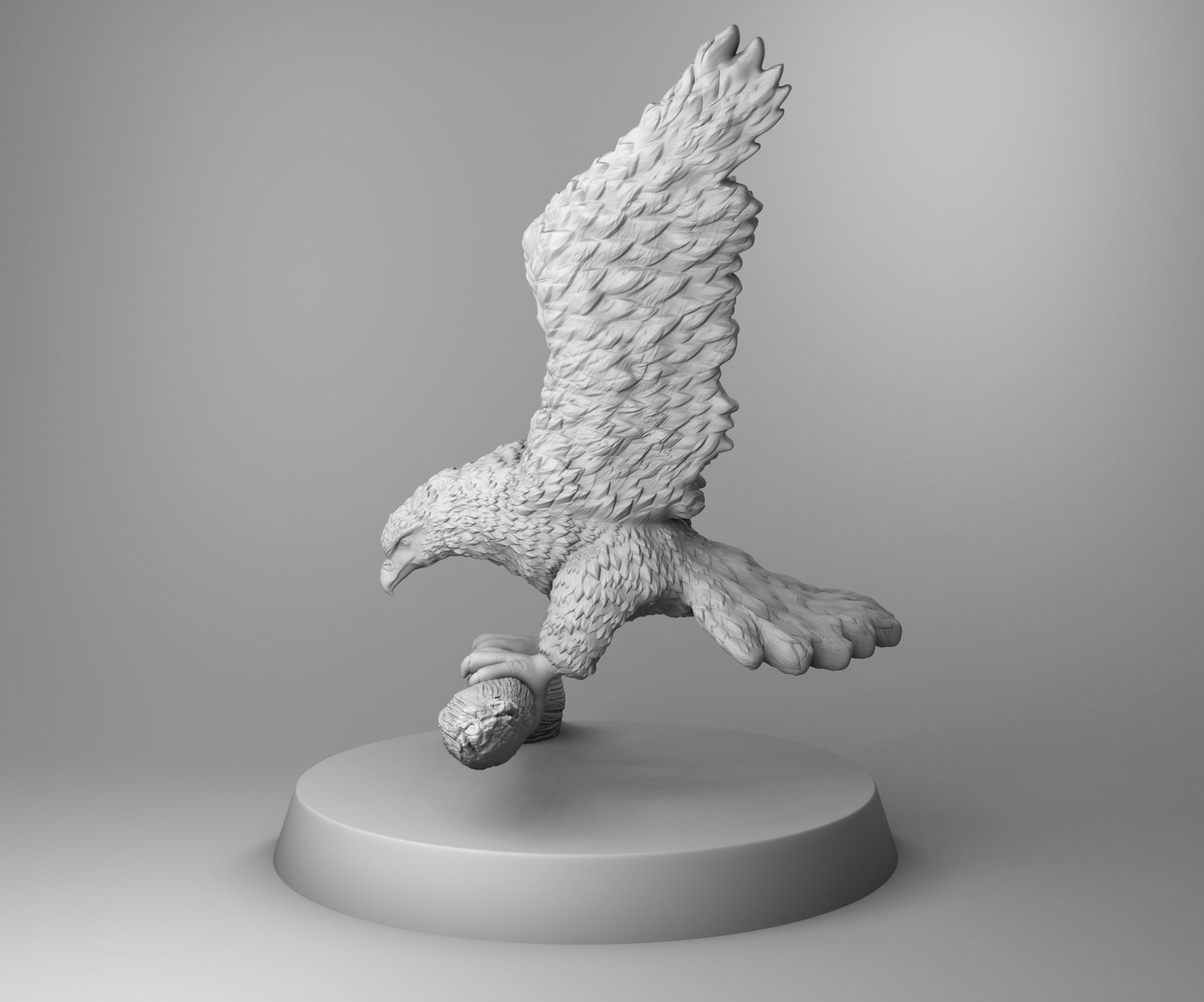 Mountain hawk 3D print model_2