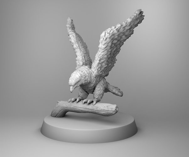 Mountain hawk 3D print model